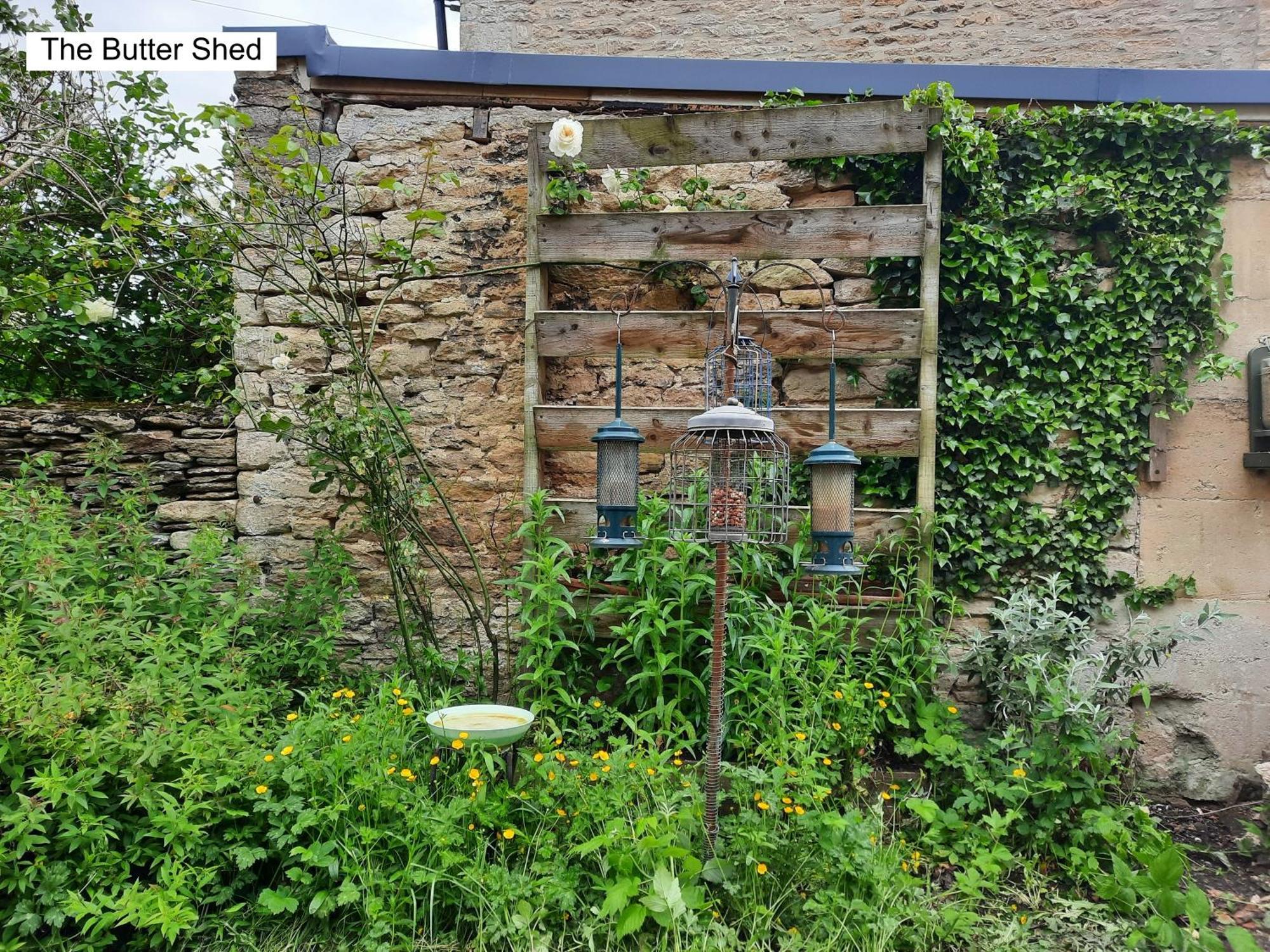 Luckington Cotswold Cottage Bed & Breakfast المظهر الخارجي الصورة