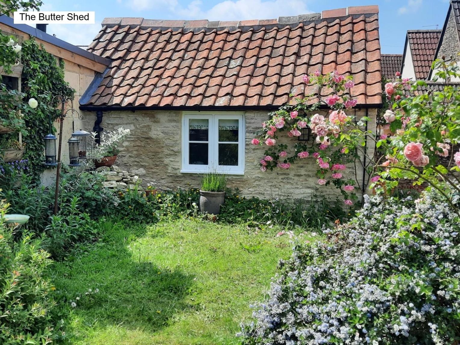 Luckington Cotswold Cottage Bed & Breakfast المظهر الخارجي الصورة